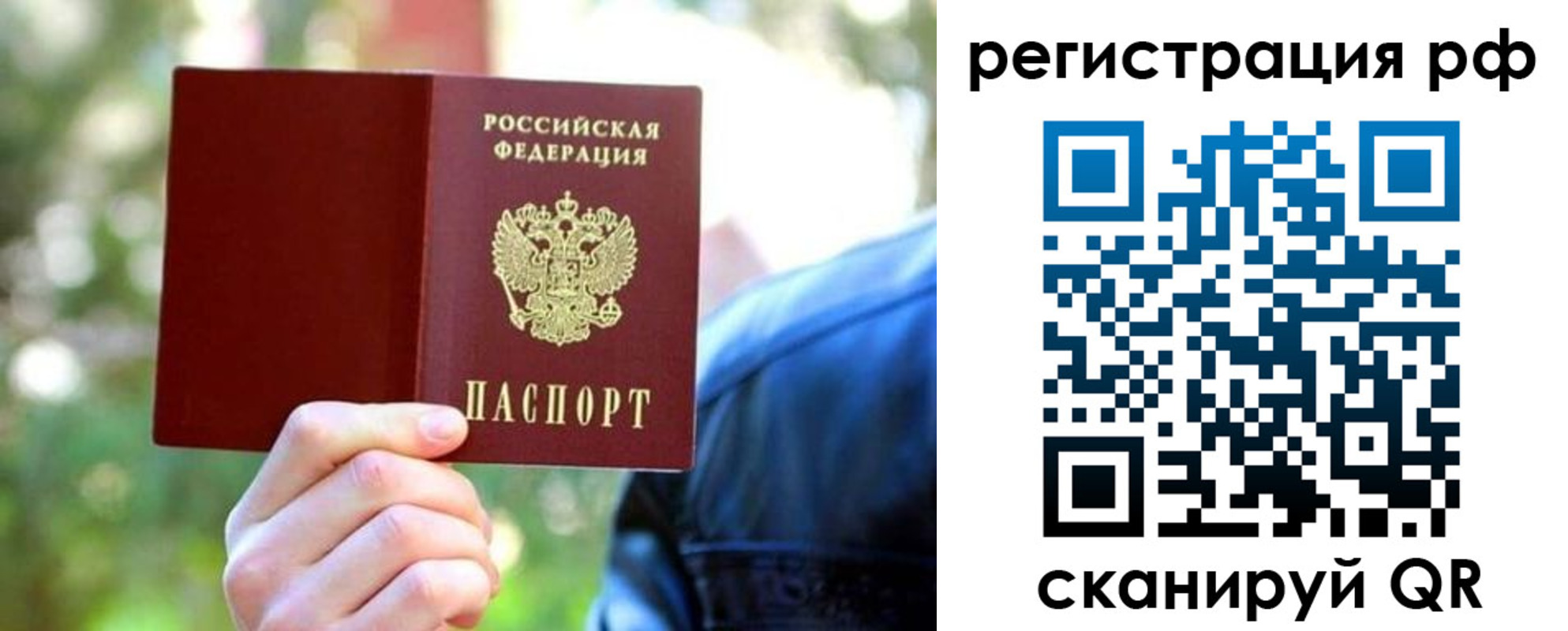 прописка поиск в Курской области